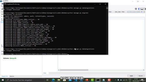 Django REST API实战课：从Python基础到四种认证方式全通关 (英文课程中文字幕)