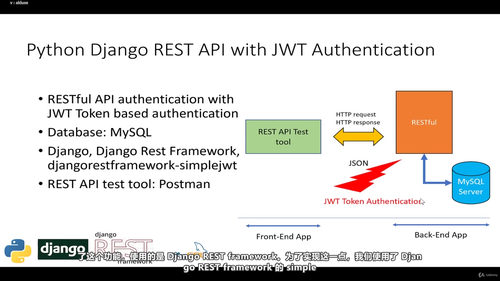 Django REST API实战课:从Python基础到四种认证方式全通关 (英文课程中文字幕)