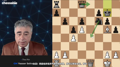 制胜国际象棋战术 - 国际大师亚西尔·塞拉万 (英文课程中文字幕)