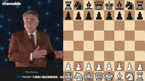 制胜国际象棋战术 - 国际大师亚西尔·塞拉万 (英文课程中文字幕)