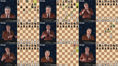 制胜国际象棋战术 - 国际大师亚西尔·塞拉万 (英文课程中文字幕)