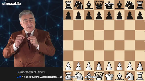 制胜国际象棋战术 - 国际大师亚西尔·塞拉万 (英文课程中文字幕)