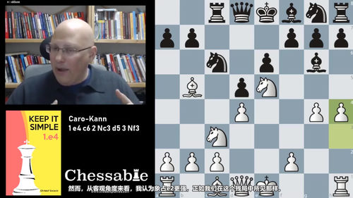 极简1.e4开局实战精讲——国际象棋进阶学习课 (英文课程中文字幕)