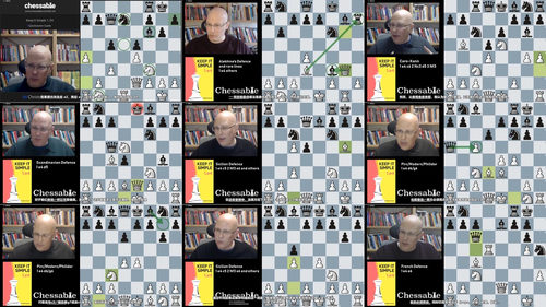 极简1.e4开局实战精讲——国际象棋进阶学习课 (英文课程中文字幕)