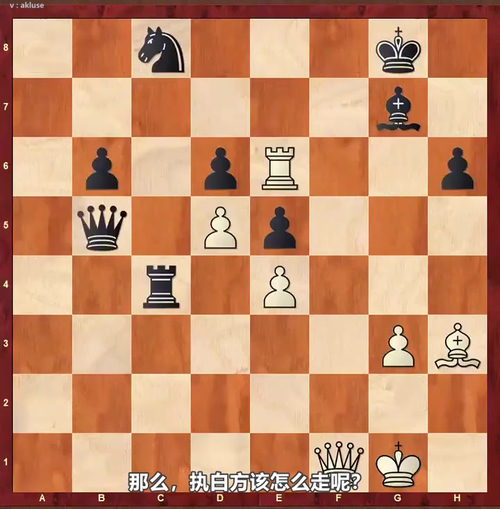 [中文配音]国际象棋杀王十级挑战：从基础套路到组合杀法的进阶之路