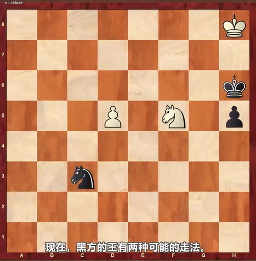 [中文配音]国际象棋杀王十级挑战：从基础套路到组合杀法的进阶之路