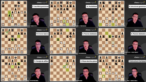 国际象棋制胜百招精讲——特级大师米格尔·桑托斯专属教程 (英文课程中文字幕)