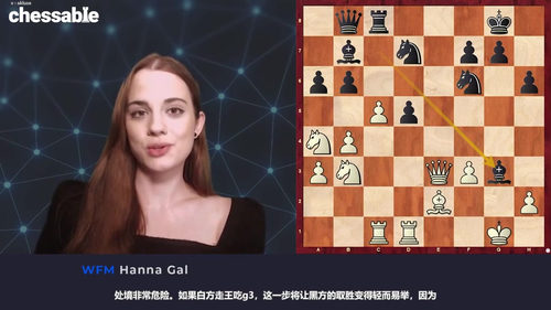 国际象棋刺猬防御体系破解指南 (英文课程中文字幕)