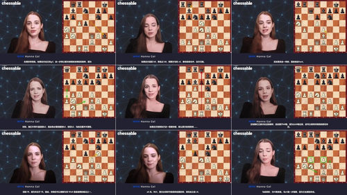 国际象棋刺猬防御体系破解指南 (英文课程中文字幕)