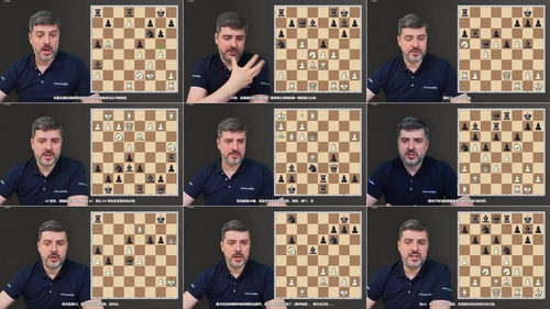 国际象棋局面型打法系统精讲 (英文课程中文字幕)