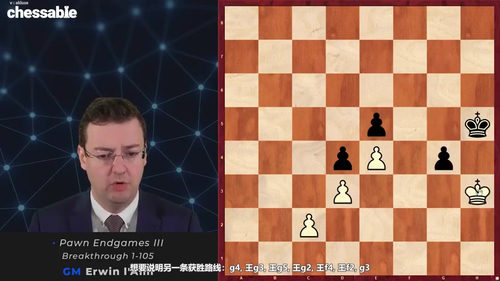 德沃列茨基残局手册（第五版）——GM欧文·拉米 国际象棋残局教程 (英文课程中文字幕)