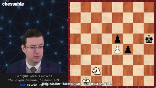 德沃列茨基残局手册（第五版）——GM欧文·拉米 国际象棋残局教程 (英文课程中文字幕)