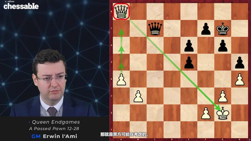 德沃列茨基残局手册（第五版）——GM欧文·拉米 国际象棋残局教程 (英文课程中文字幕)