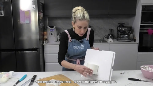 框架蛋糕课程——艺术蛋糕设计 (英文课程中文字幕)