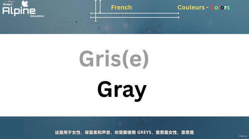 法语零基础入门完整教程 (英文课程中文字幕)