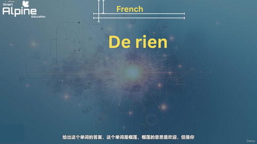 法语零基础入门完整教程 (英文课程中文字幕)