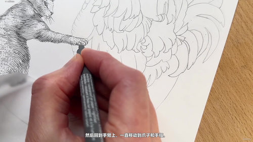 钢笔水墨雕刻风插画入门教程 (英文课程中文字幕)