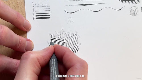 钢笔水墨雕刻风插画入门教程 (英文课程中文字幕)