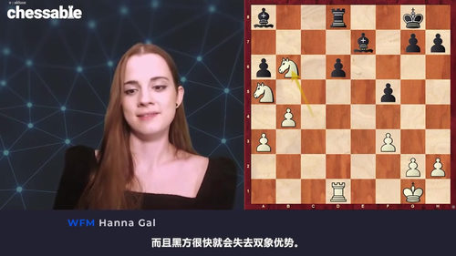 [中文配音]国际象棋刺猬防御体系破解指南