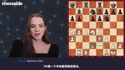 [中文配音]国际象棋刺猬防御体系破解指南