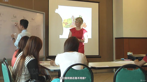 英语教学实战指南：TEFL证书课带你从零开始成为国际教师 (英文课程中文字幕)