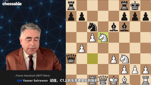 [中文配音]制胜国际象棋战术 - 国际大师亚西尔·塞拉万