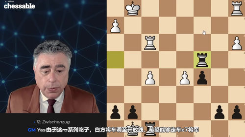[中文配音]制胜国际象棋战术 - 国际大师亚西尔·塞拉万