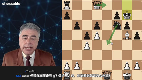 [中文配音]制胜国际象棋战术 - 国际大师亚西尔·塞拉万