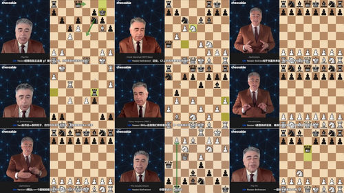 [中文配音]制胜国际象棋战术 - 国际大师亚西尔·塞拉万
