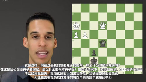 [中文配音]极简国际象棋战略实战精讲