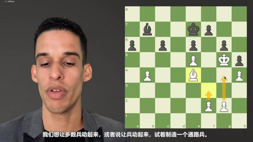 [中文配音]极简国际象棋战略实战精讲