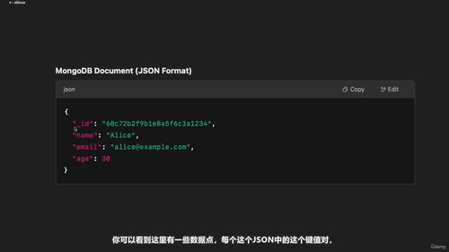 Express与MongoDB Mongoose数据库查询实战入门 (英文课程中文字幕)