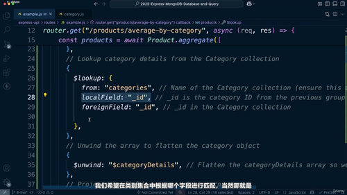 Express与MongoDB Mongoose数据库查询实战入门 (英文课程中文字幕)