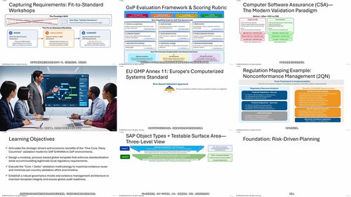 SAP S/4HANA系统验证实战：从风险评估到测试自动化 (英文课程中文字幕)