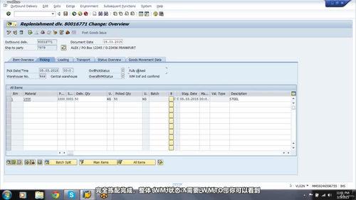 SAP WM仓储管理认证培训 (英文课程中文字幕)