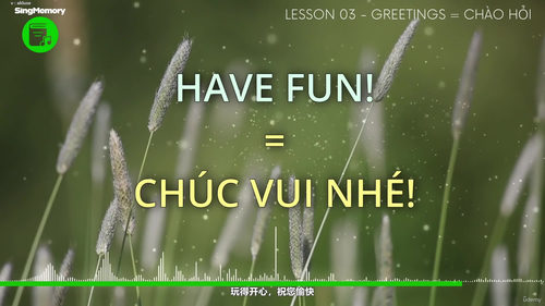 唱记越南语 从零起步学越南语 (英文课程中文字幕)