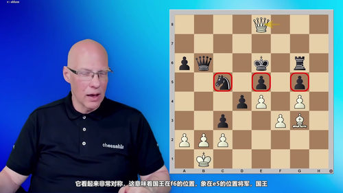 国际象棋杀法图谱完全指南 ——IM 克里斯托夫・西莱茨基权威教程 (英文课程中文字幕)