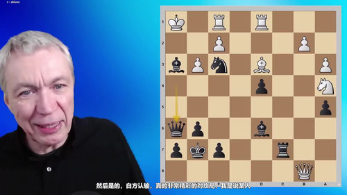 尚多尔夫国际象棋完整开局体系 (英文课程中文字幕)
