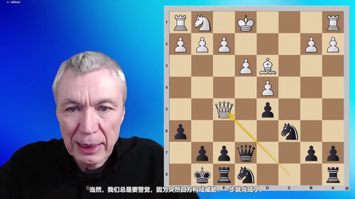 尚多尔夫国际象棋完整开局体系 (英文课程中文字幕)