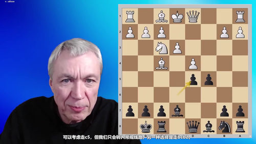 尚多尔夫国际象棋完整开局体系 (英文课程中文字幕)