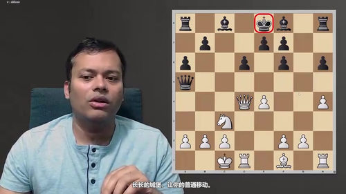 终身棋谱：苏里亚的1.e4开局体系详解（第一部分） (英文课程中文字幕)