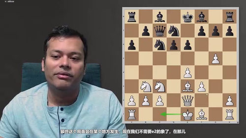终身棋谱：苏里亚的1.e4开局体系详解（第一部分） (英文课程中文字幕)