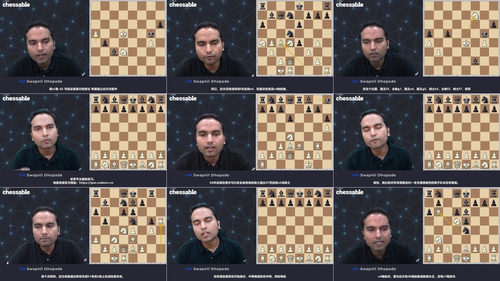 国际象棋子力效能精通 (英文课程中文字幕)