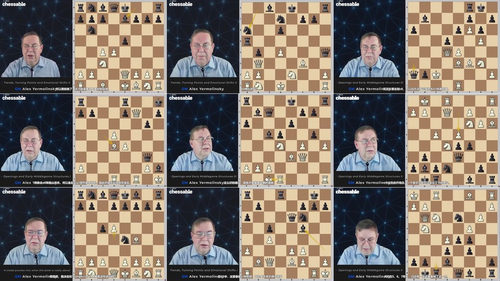 国际象棋进阶之道 (英文课程中文字幕)