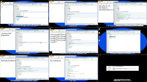 JavaScript编程入门：从零基础到函数式代码 (英文课程中文字幕)