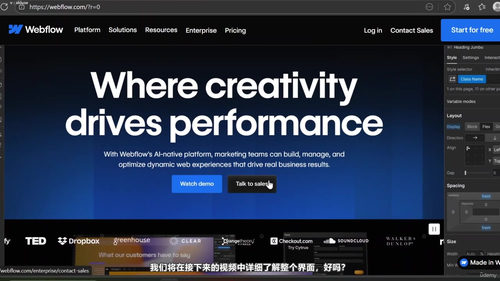 Webflow 精通教程：从入门到建站高手 (英文课程中文字幕)