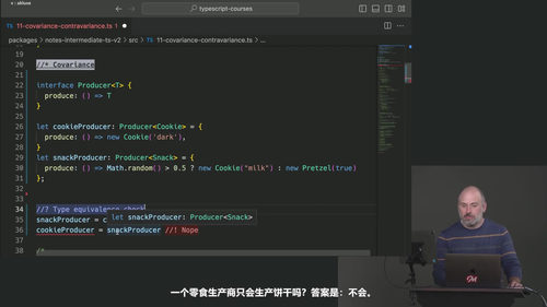 中级TypeScript进阶之路 (英文课程中文字幕)