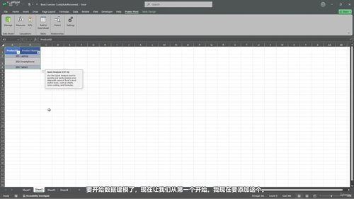 商务职场Excel数据分析与数据管理 (英文课程中文字幕)
