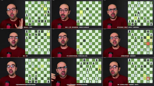 洞悉对手行棋：识别棋局威胁、失误与认知误区 (英文课程中文字幕)