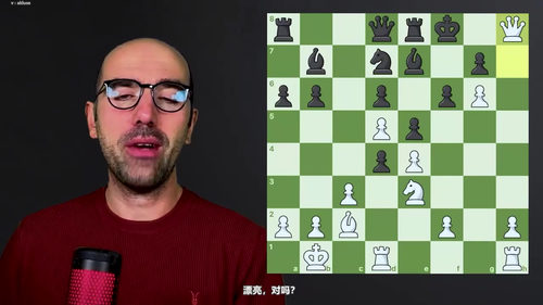 洞悉对手行棋：识别棋局威胁、失误与认知误区 (英文课程中文字幕)